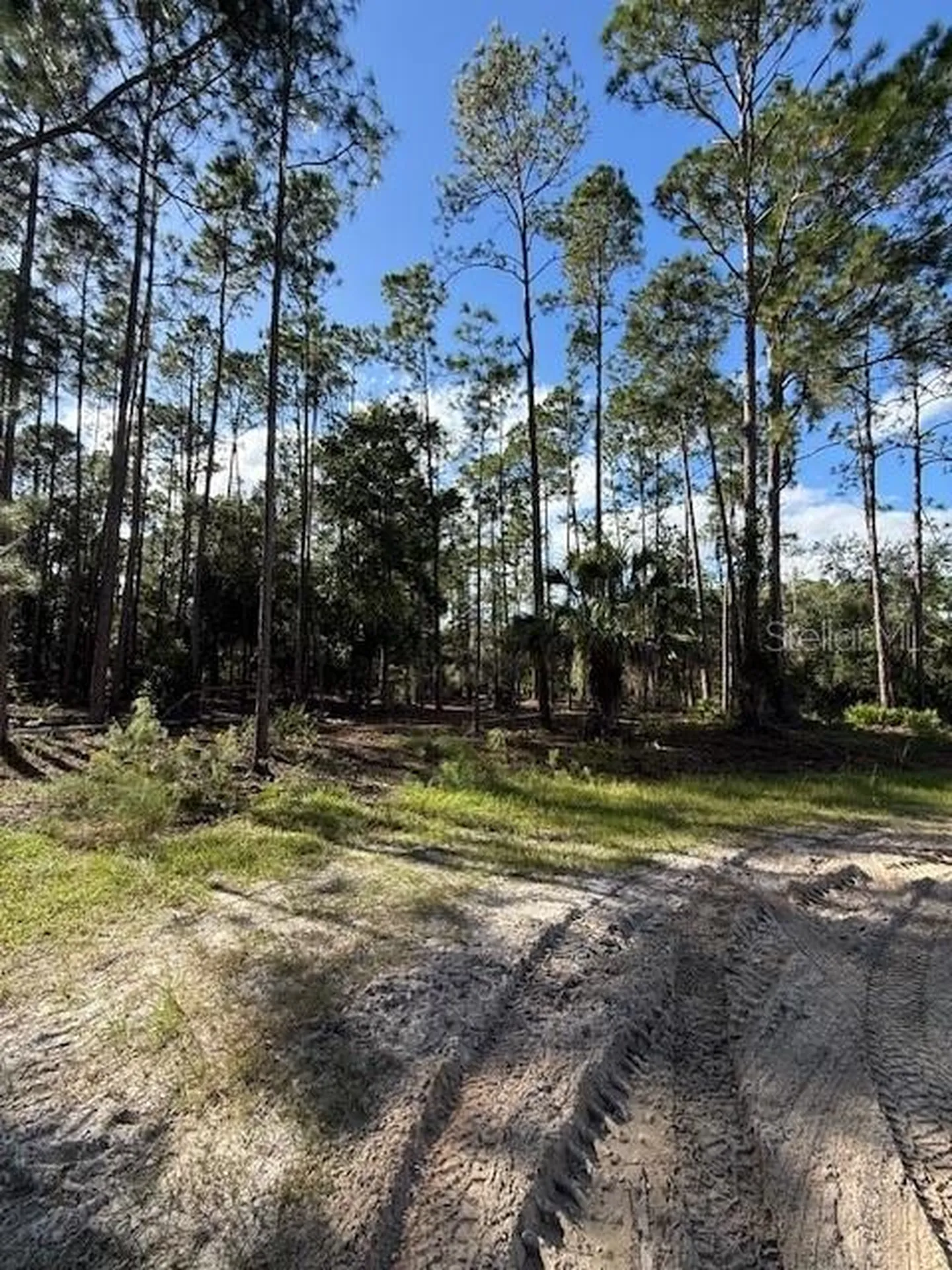215 Hideaway Lane Georgetown FL 32139
