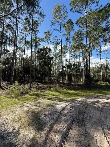 215 Hideaway Lane Georgetown FL 32139