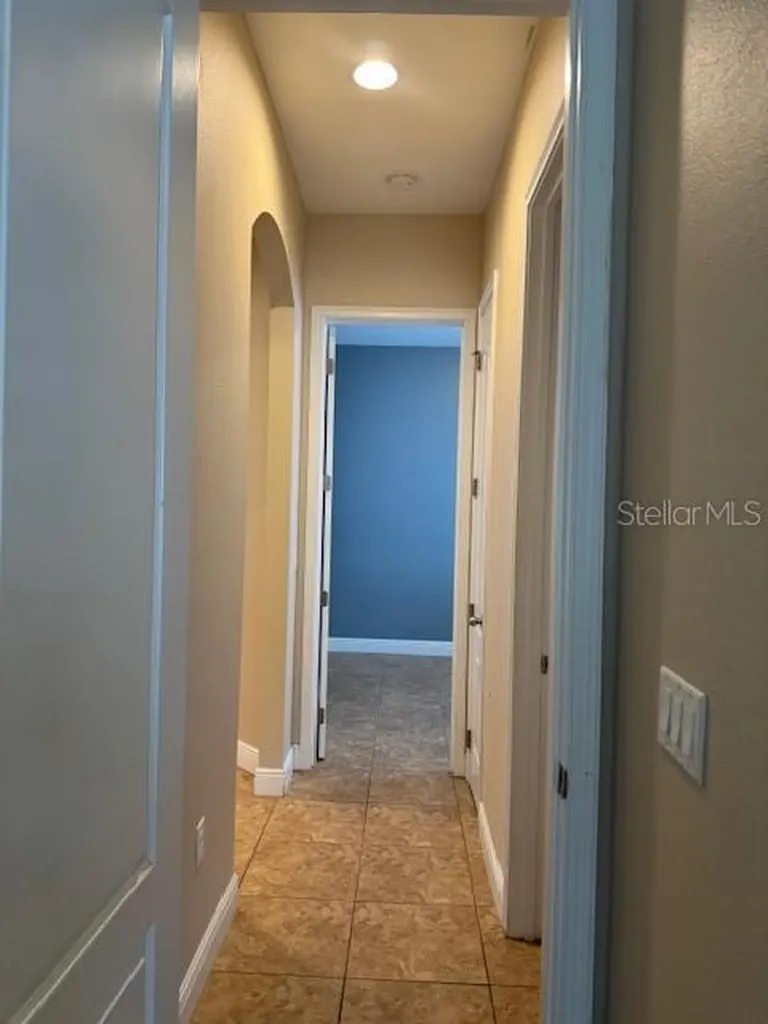 11514 Quiet Forest Drive Tampa FL 33635
