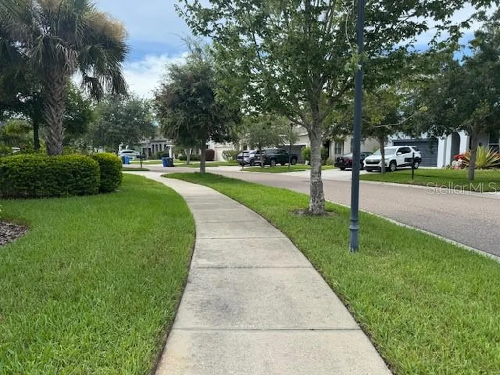 11514 Quiet Forest Drive Tampa FL 33635