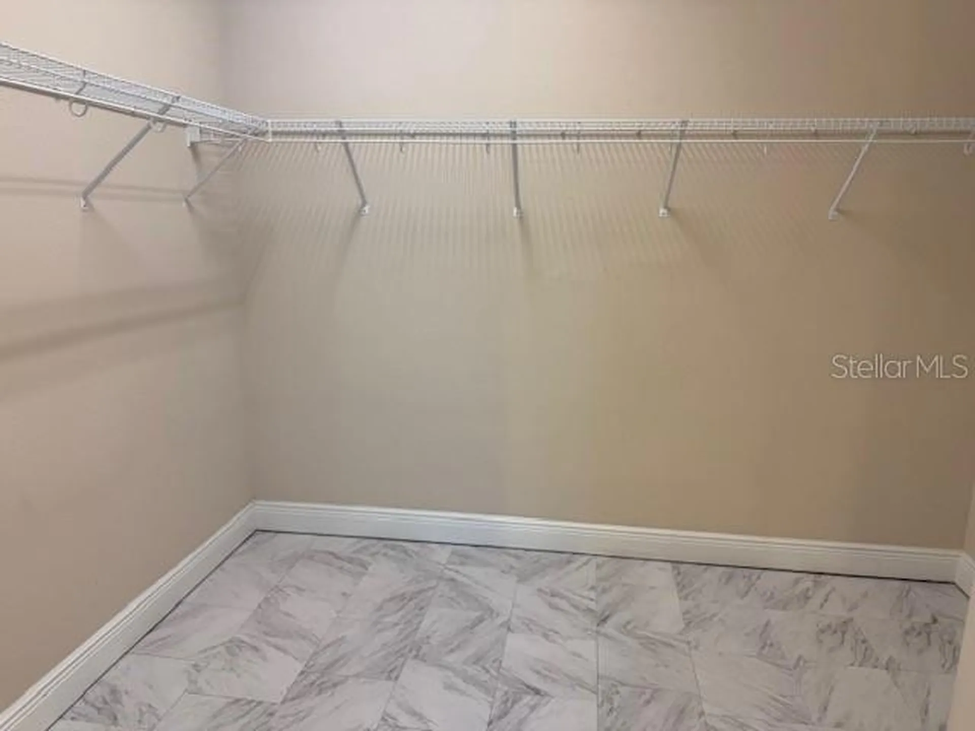 11514 Quiet Forest Drive Tampa FL 33635