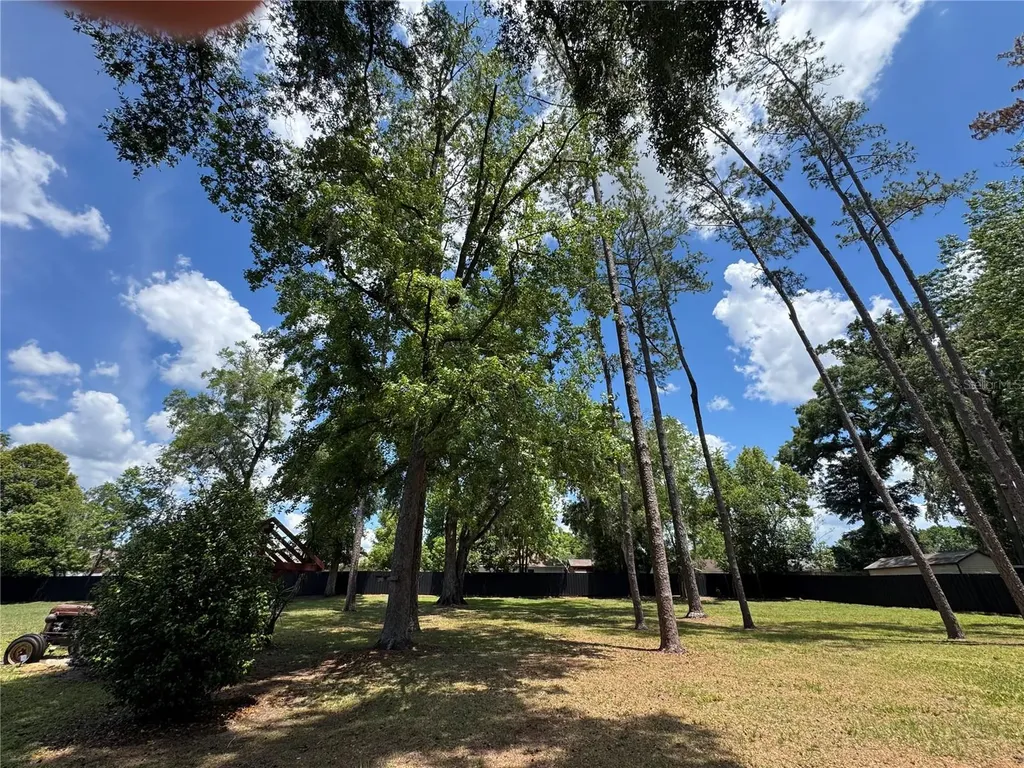6133 SE 123rd Lane Belleview FL 34420