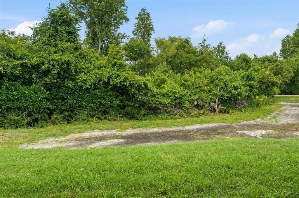 1250 Charlesworth Drive Wesley Chapel FL 33543