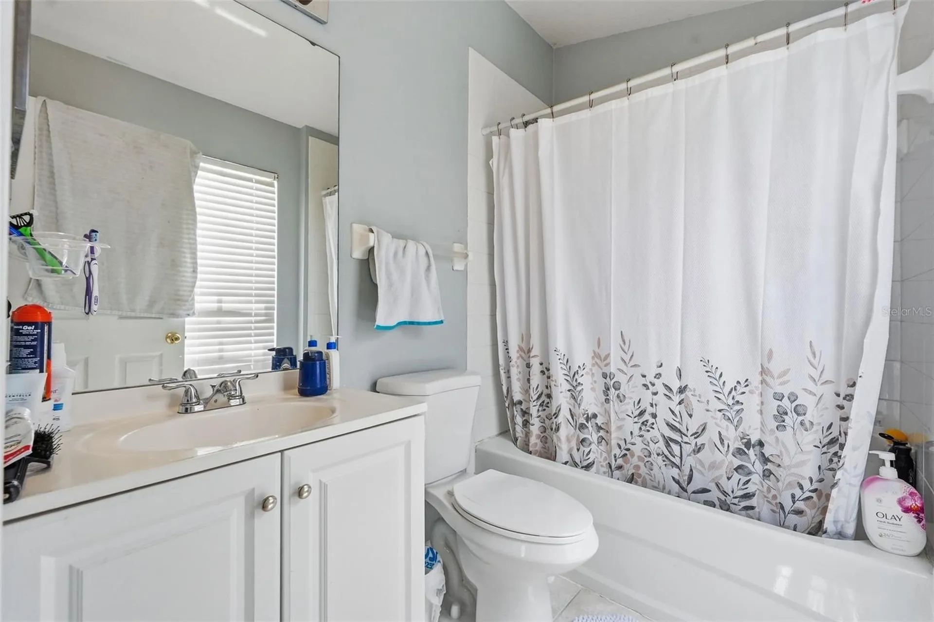 1250 Charlesworth Drive Wesley Chapel FL 33543