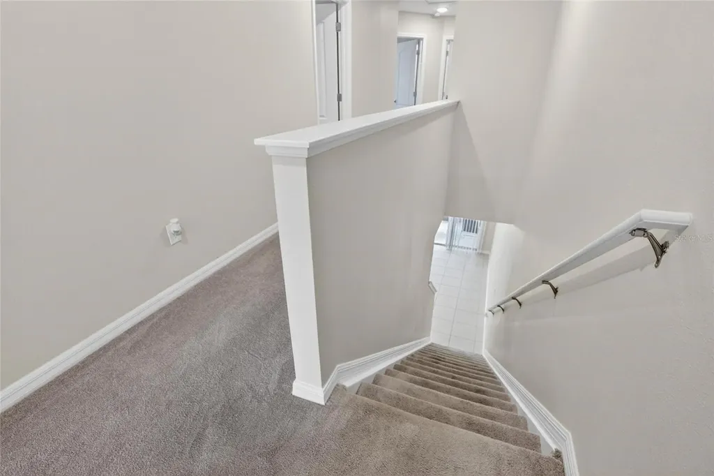 4718 Spatter Dock Street Tampa FL 33610
