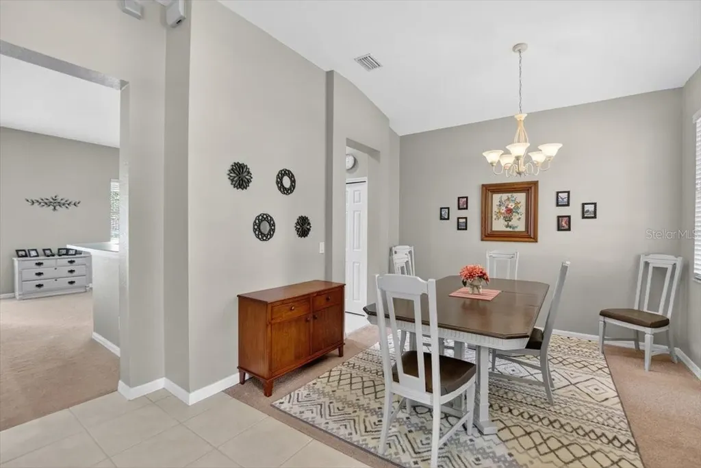11023 Holly Cone Drive Riverview FL 33569