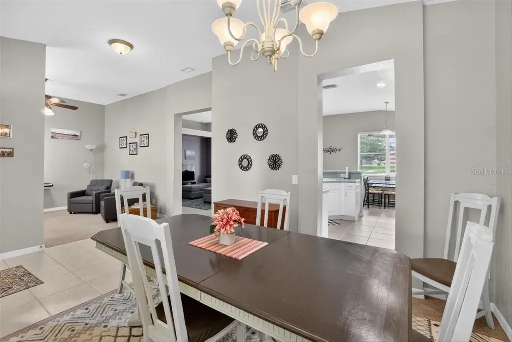 11023 Holly Cone Drive Riverview FL 33569
