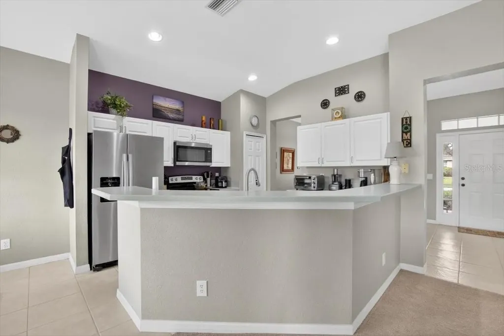 11023 Holly Cone Drive Riverview FL 33569