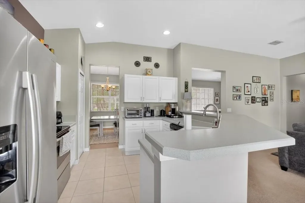 11023 Holly Cone Drive Riverview FL 33569