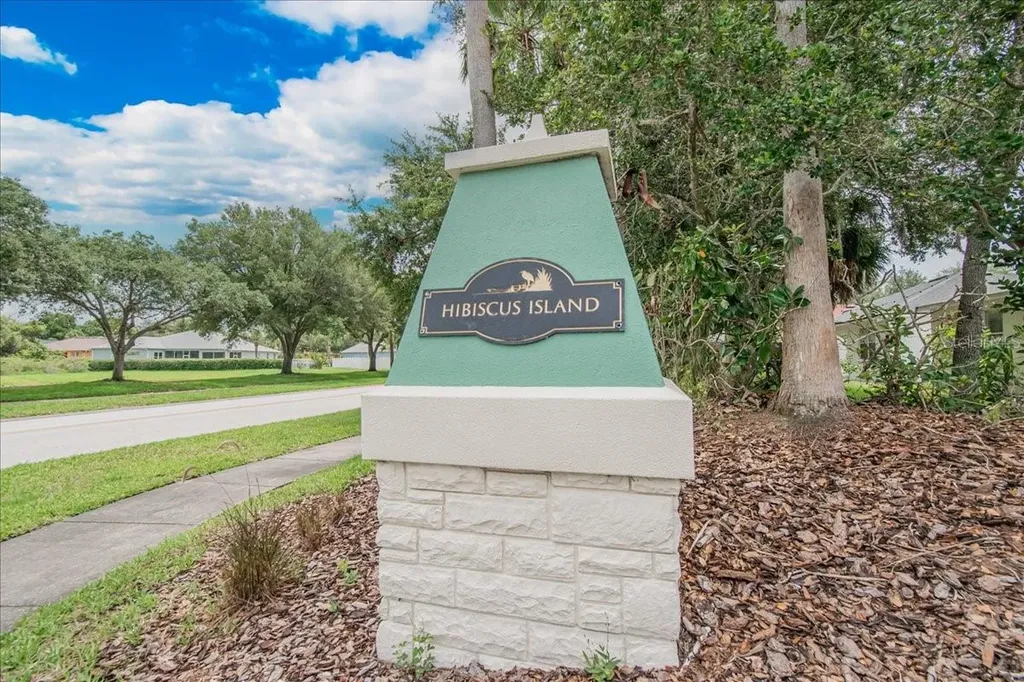 11023 Holly Cone Drive Riverview FL 33569
