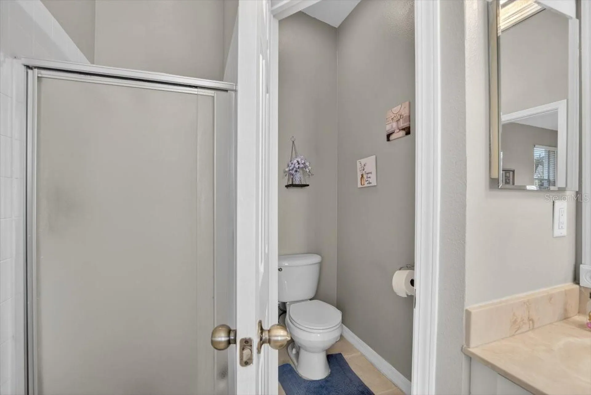 11023 Holly Cone Drive Riverview FL 33569