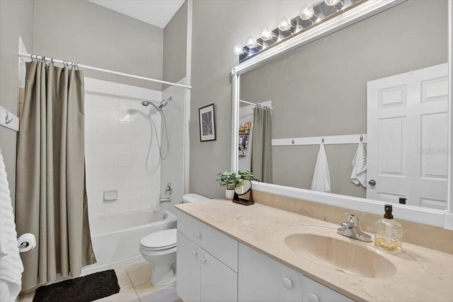 11023 Holly Cone Drive Riverview FL 33569