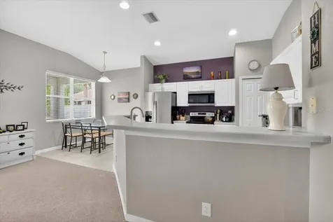 11023 Holly Cone Drive Riverview FL 33569