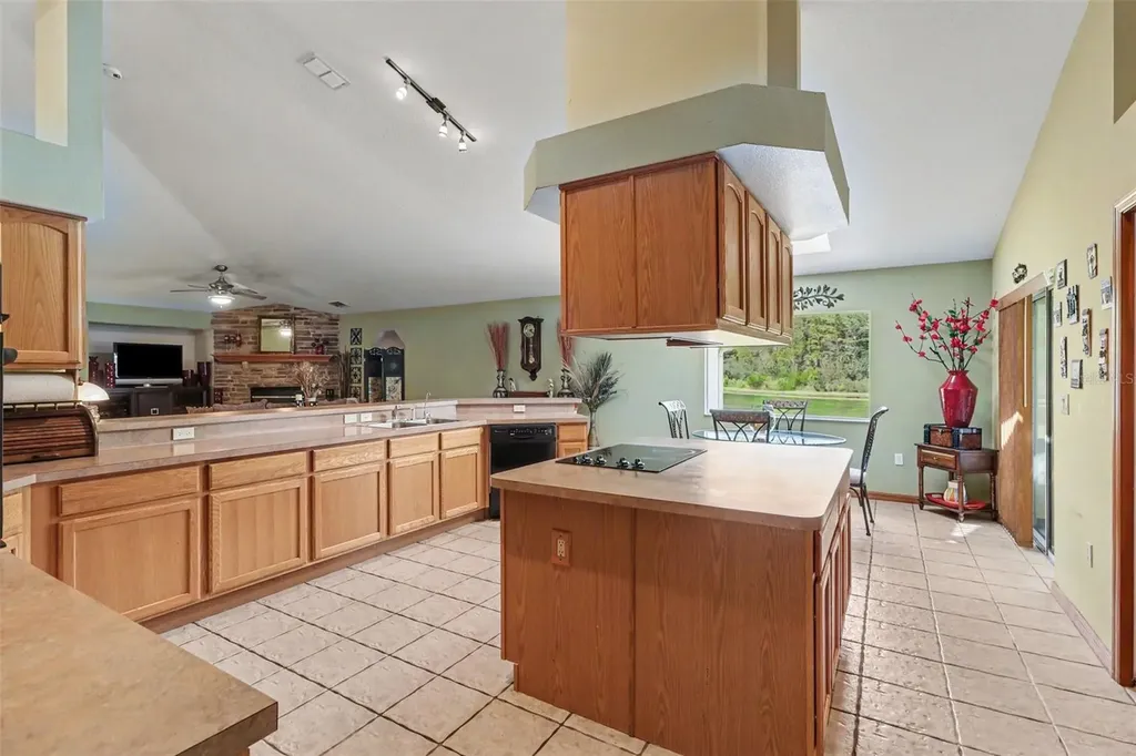 2236 Summer Raye Court St Cloud FL 34772
