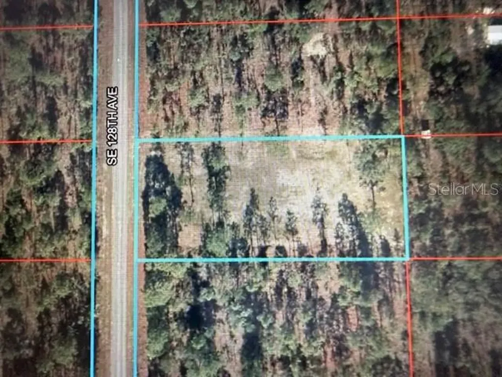 0 SE 128th Avenue Dunnellon FL 34431