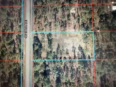 0 SE 128th Avenue Dunnellon FL 34431