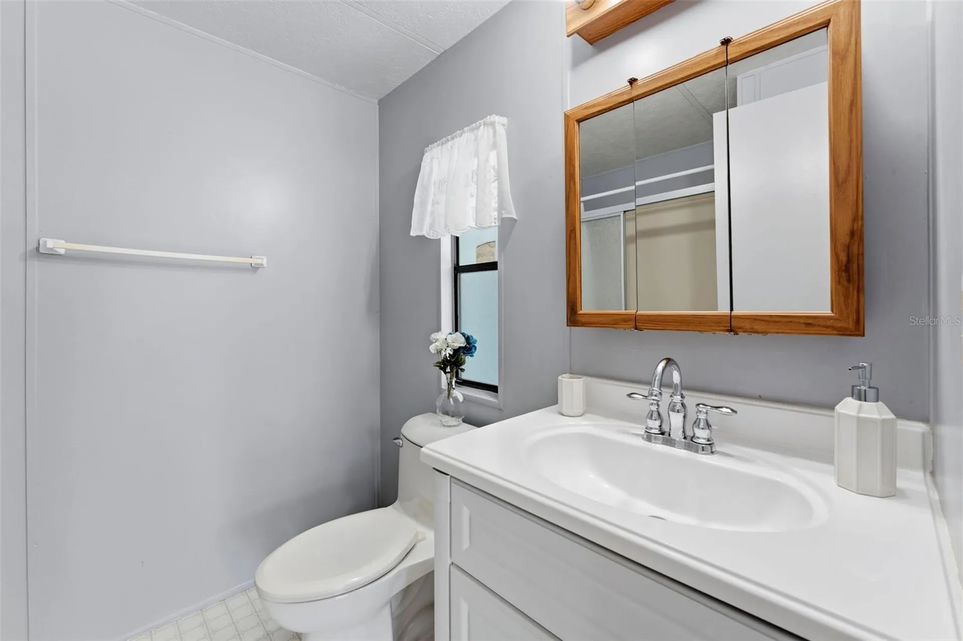 34334 Countryside Drive Wesley Chapel FL 33543