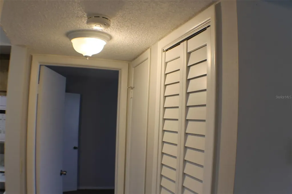 3944 Tumble Wood Trail Tampa FL 33613