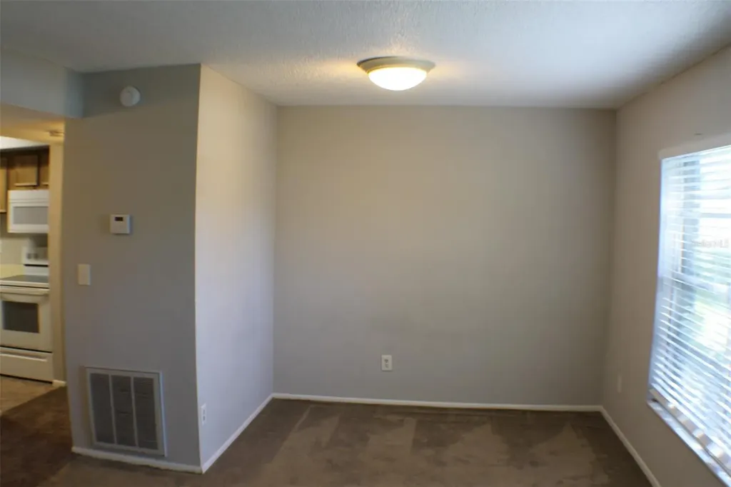 3944 Tumble Wood Trail Tampa FL 33613