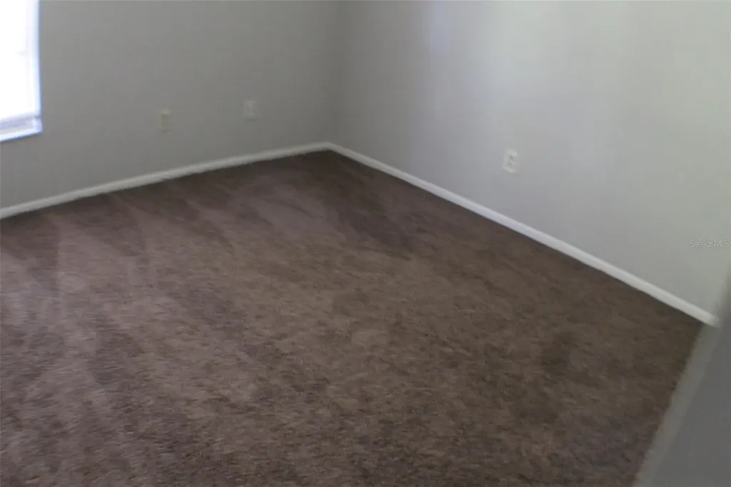 3944 Tumble Wood Trail Tampa FL 33613
