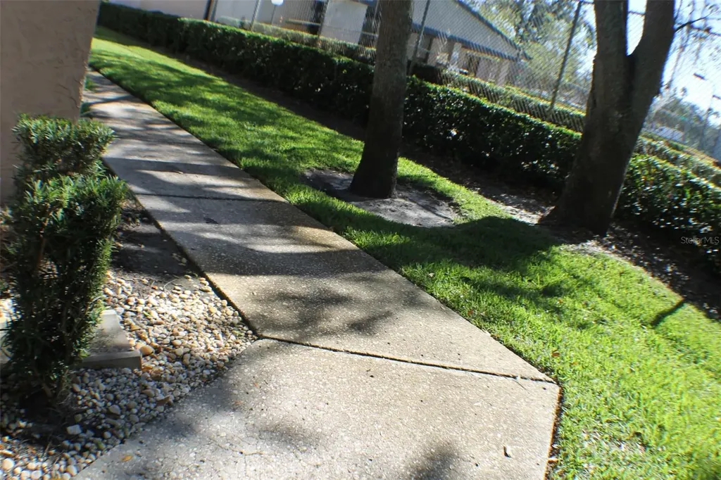 3944 Tumble Wood Trail Tampa FL 33613