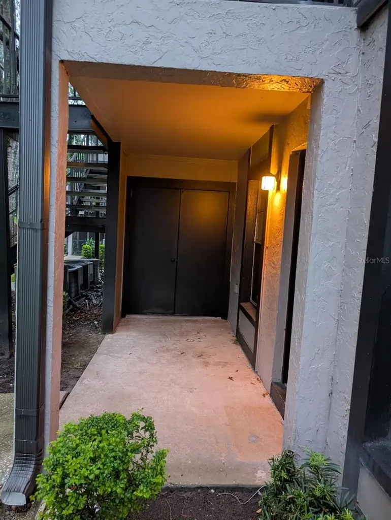 3944 Tumble Wood Trail Tampa FL 33613