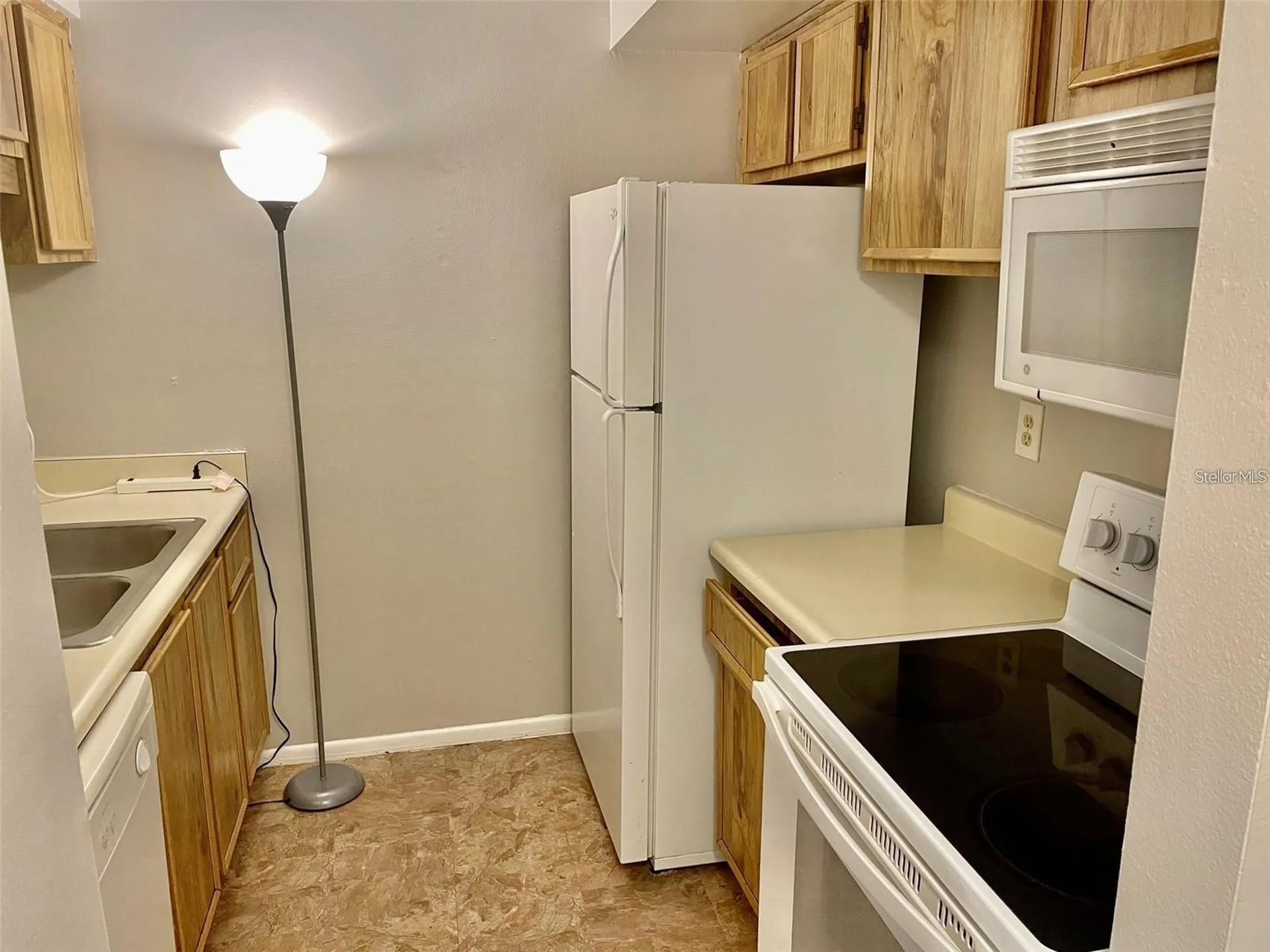 3944 Tumble Wood Trail Tampa FL 33613