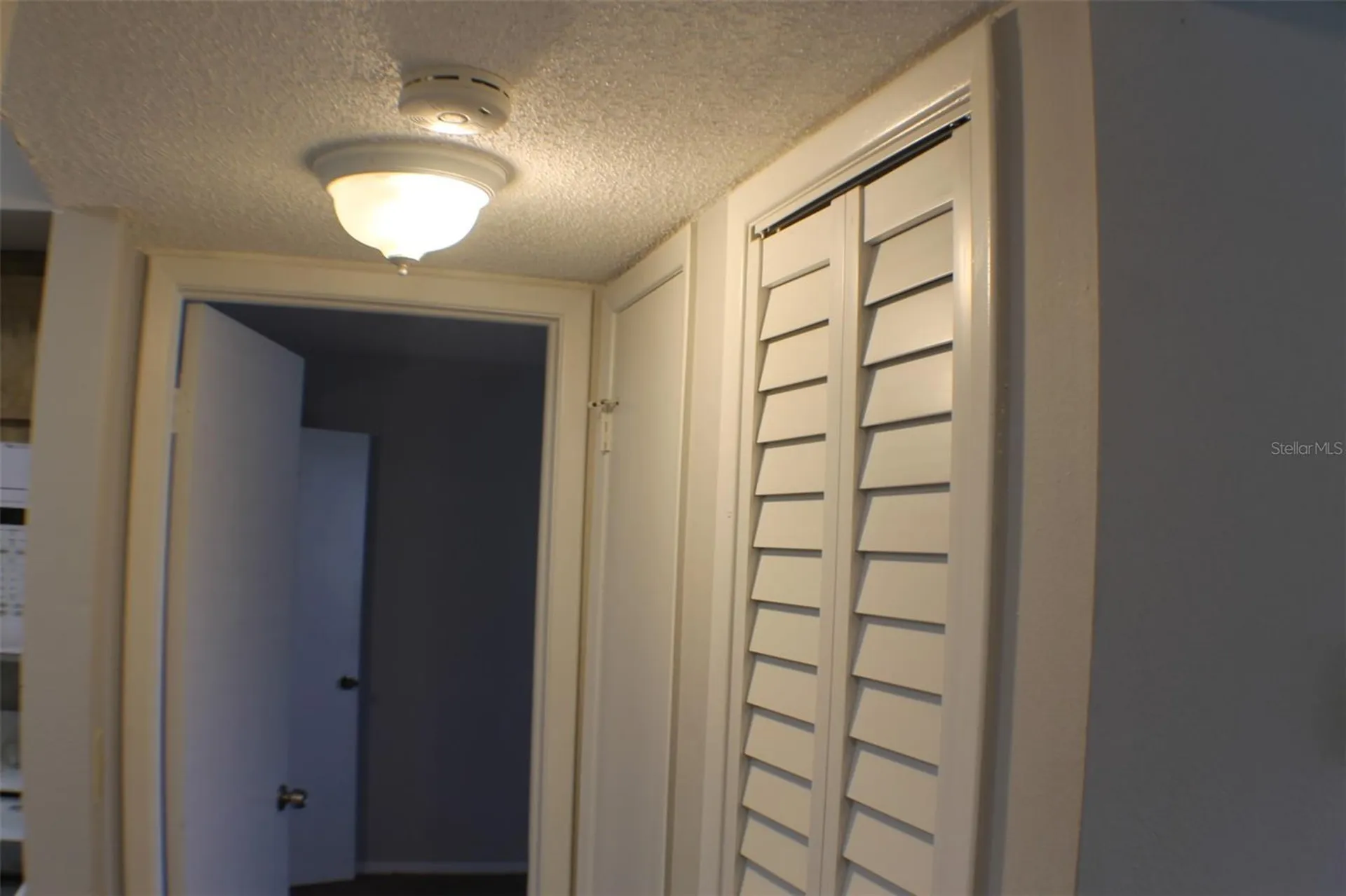 3944 Tumble Wood Trail Tampa FL 33613
