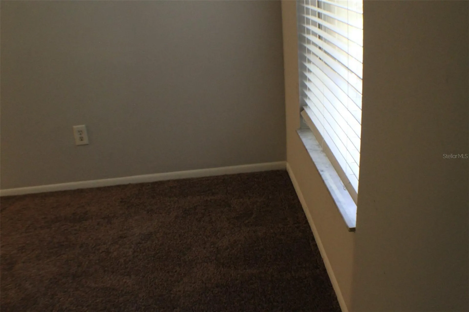 3944 Tumble Wood Trail Tampa FL 33613