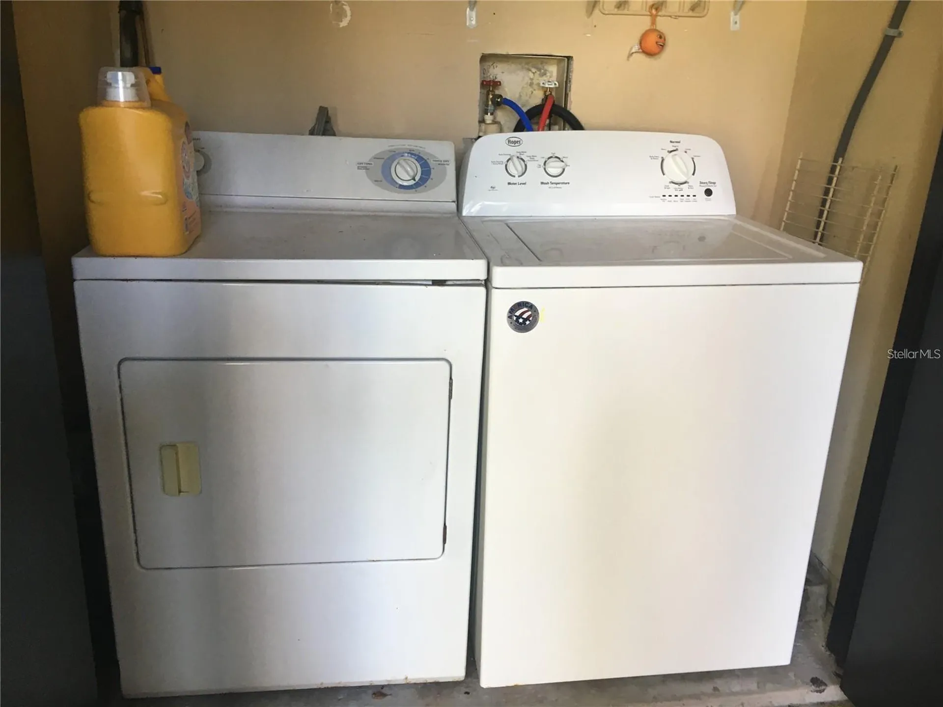 3944 Tumble Wood Trail Tampa FL 33613