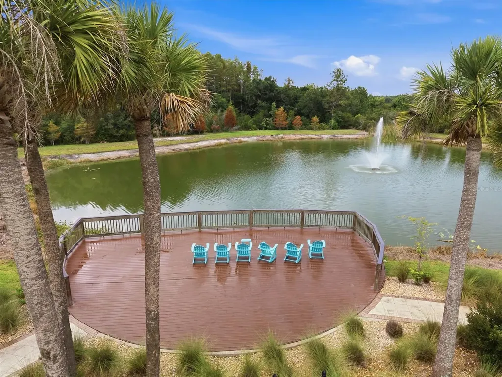 30040 Southwell Lane Wesley Chapel FL 33543