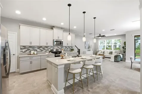 30040 Southwell Lane Wesley Chapel FL 33543
