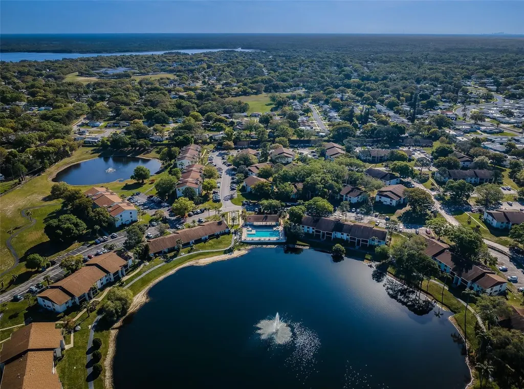 2687 Pine Ridge Way S Palm Harbor FL 34684