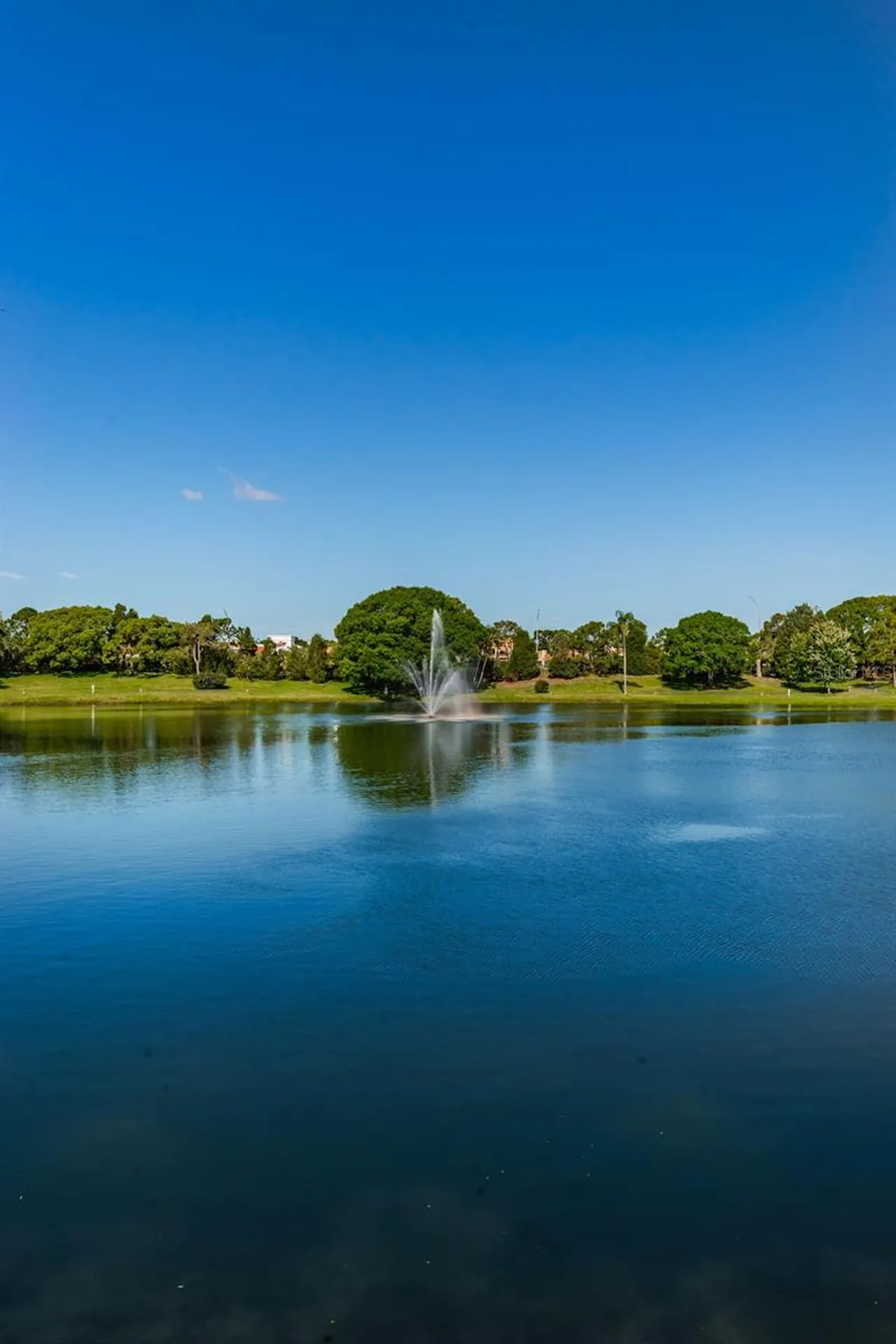 2687 Pine Ridge Way S Palm Harbor FL 34684