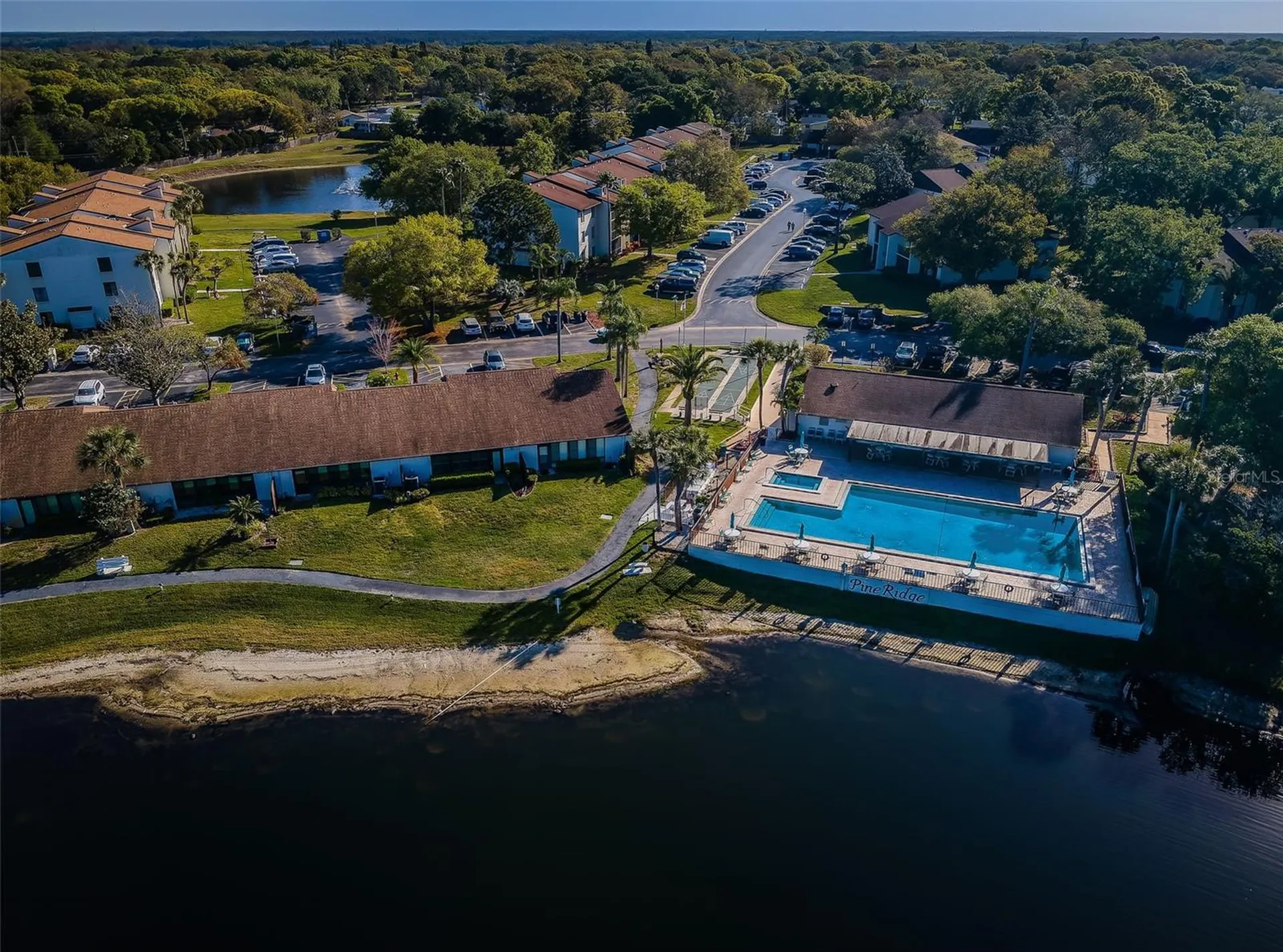 2687 Pine Ridge Way S Palm Harbor FL 34684