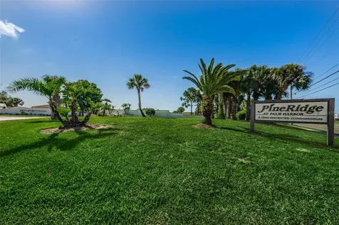 2687 Pine Ridge Way S Palm Harbor FL 34684