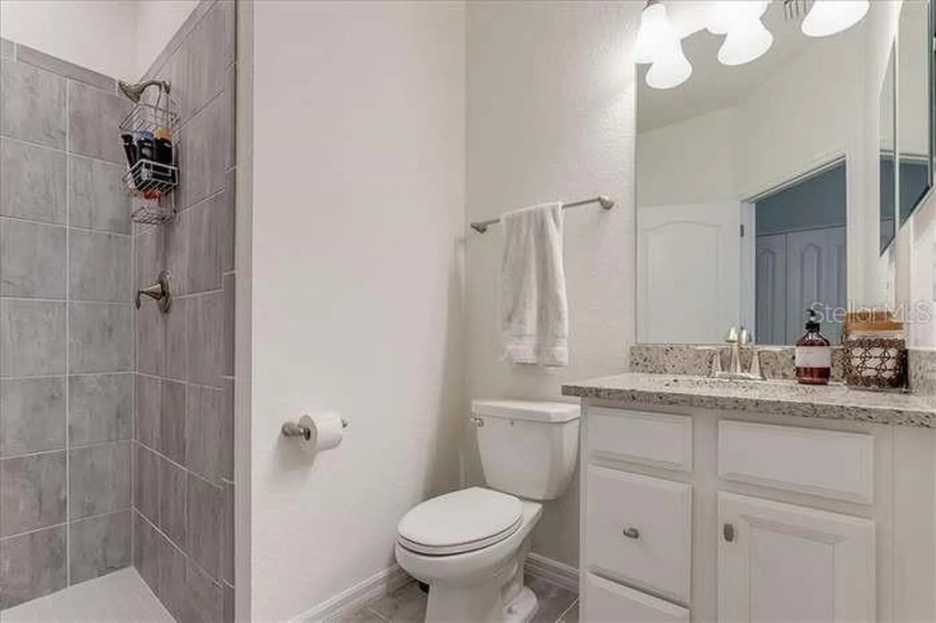 6551 Rosehill Farm Run Lakewood Ranch FL 34211