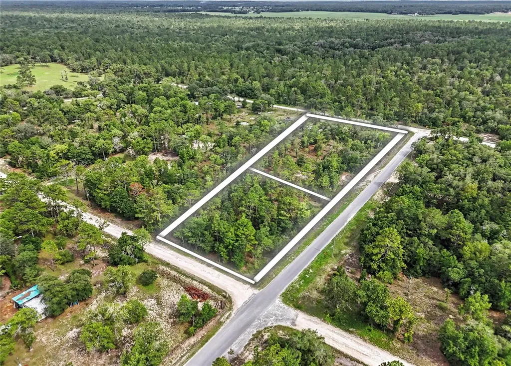 Tbd SE 218th Avenue Morriston FL 32668