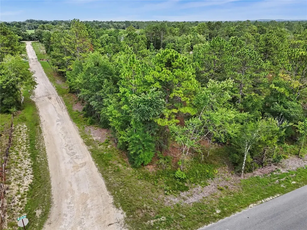 Tbd SE 218th Avenue Morriston FL 32668