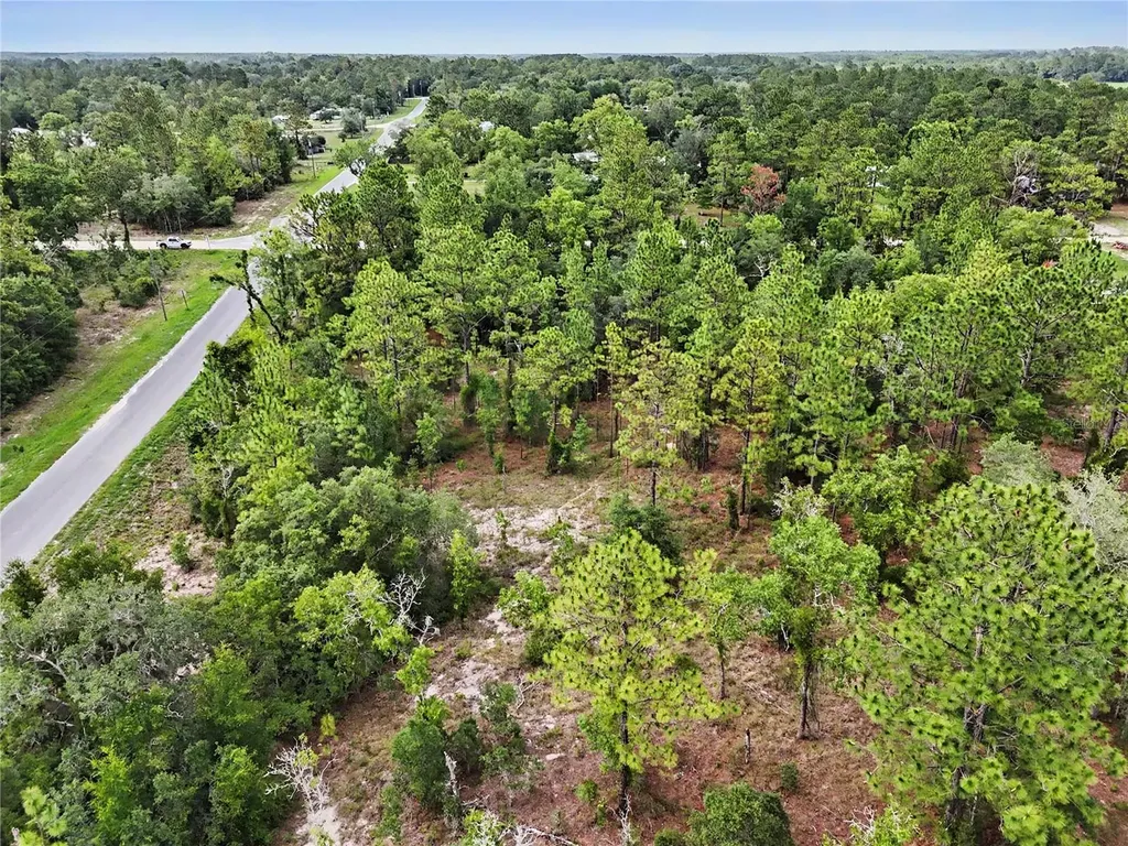 Tbd SE 218th Avenue Morriston FL 32668