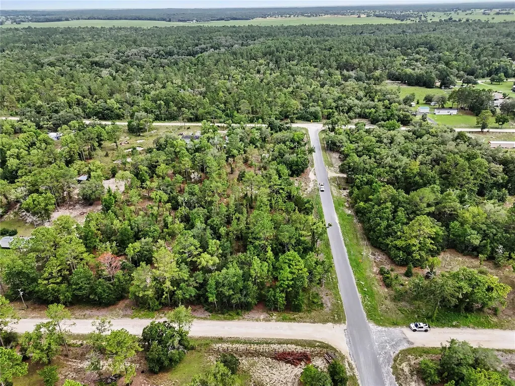Tbd SE 218th Avenue Morriston FL 32668