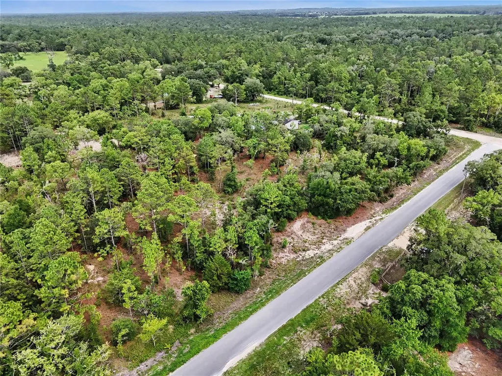 Tbd SE 218th Avenue Morriston FL 32668