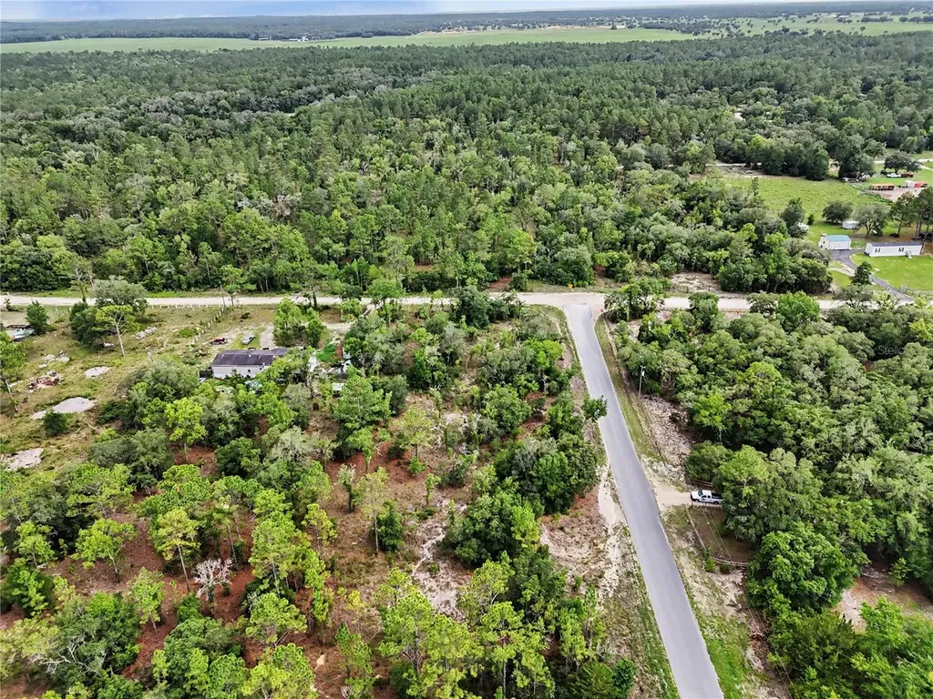 Tbd SE 218th Avenue Morriston FL 32668