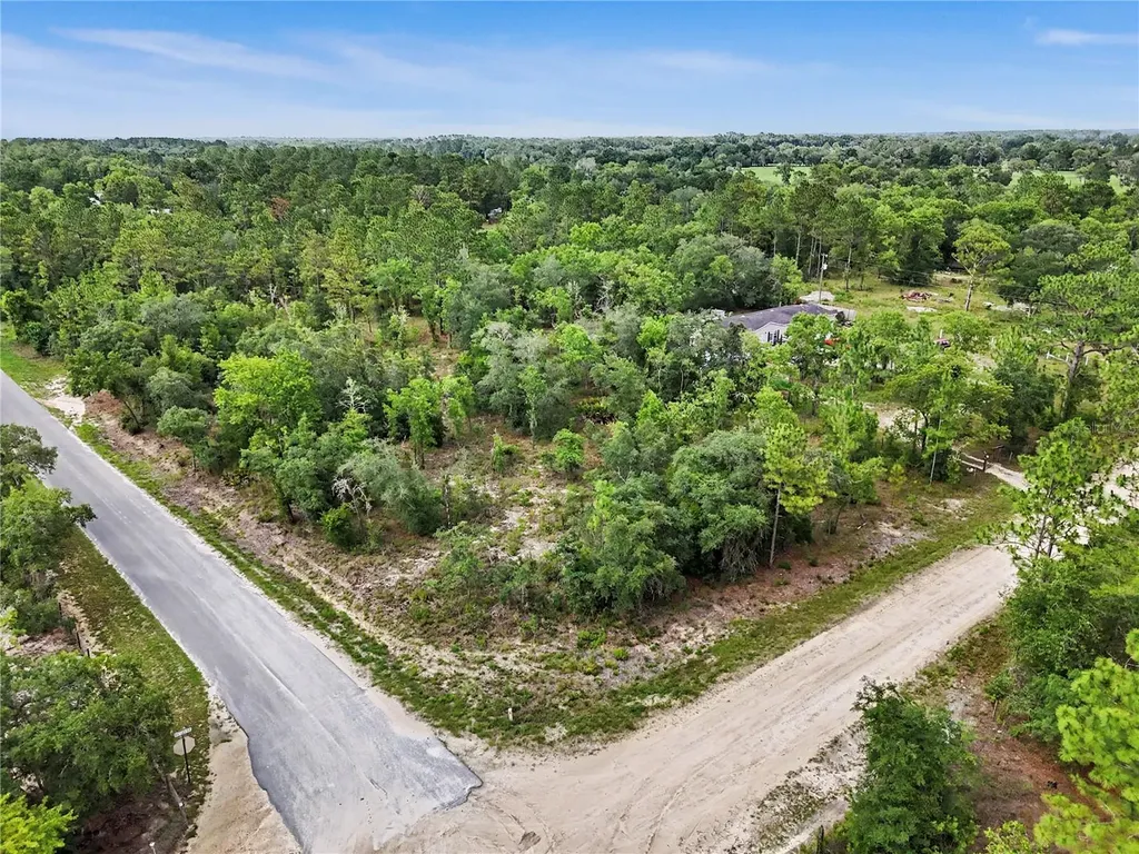 Tbd SE 218th Avenue Morriston FL 32668