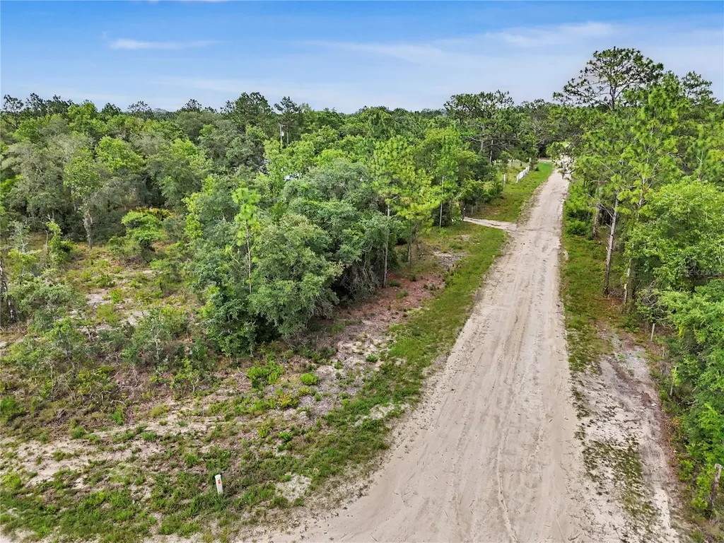 Tbd SE 218th Avenue Morriston FL 32668