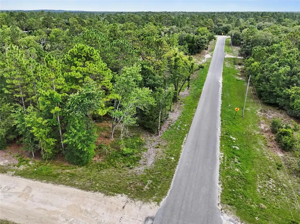 Tbd SE 218th Avenue Morriston FL 32668