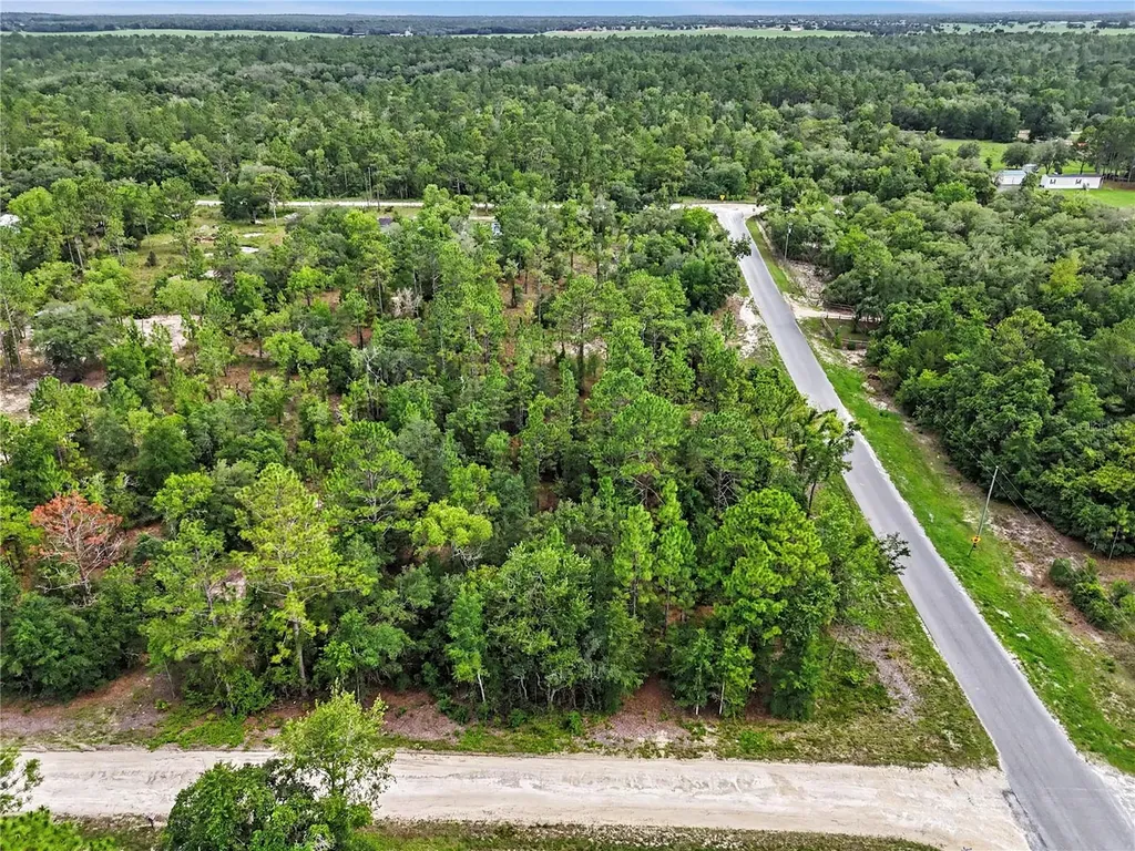 Tbd SE 218th Avenue Morriston FL 32668