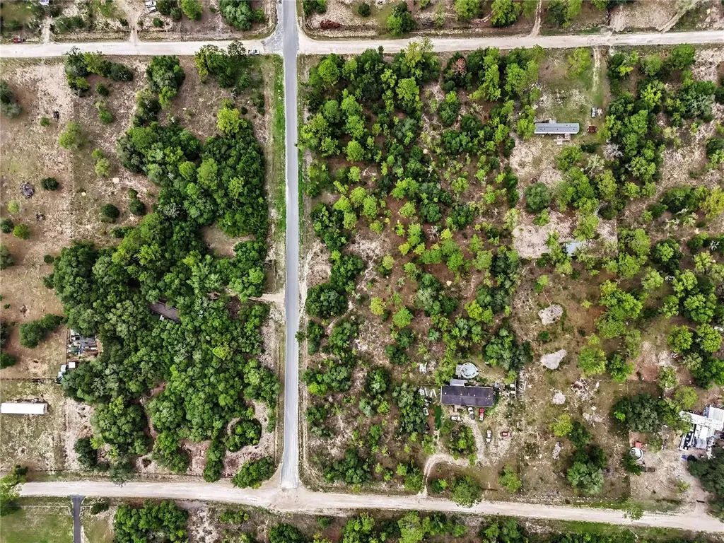 Tbd SE 218th Avenue Morriston FL 32668