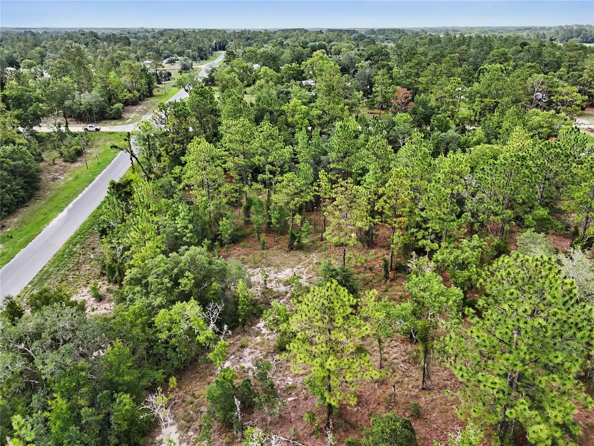 Tbd SE 218th Avenue Morriston FL 32668