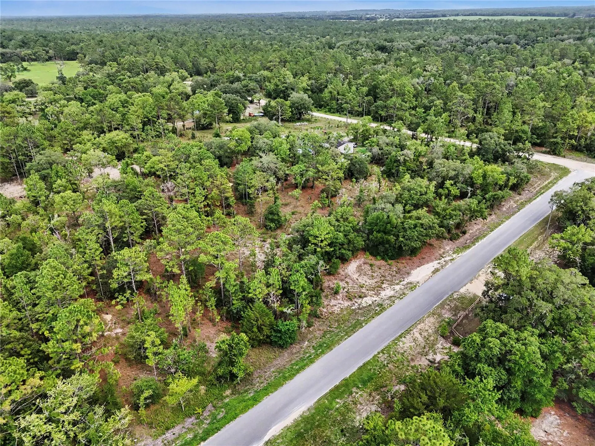 Tbd SE 218th Avenue Morriston FL 32668